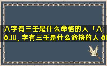 八字有三壬是什么命格的人「八 🌸 字有三壬是什么命格的人 🌷 呢」